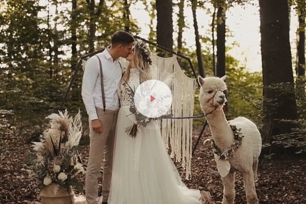 freie_trauung_alpakas_boho